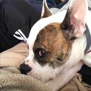 Meet your Posher, Zachary